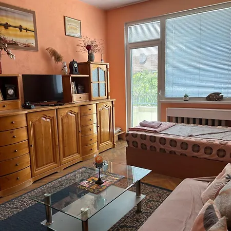 Apartment11in The Center Of 公寓 索菲亞